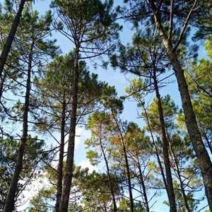 Marie-Laure, un sophrologue à Angers